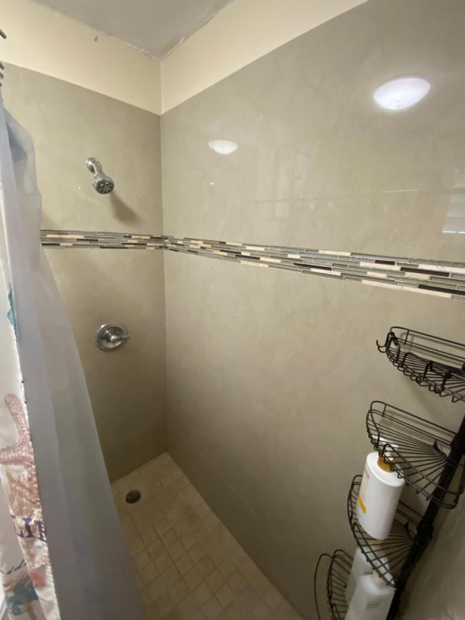 Apartment Bee Puerto Rico Charming Urban In San Juan