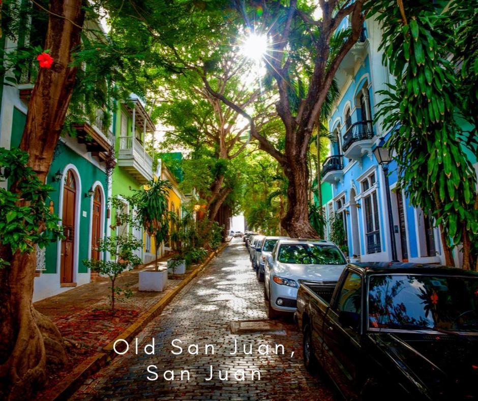 Bee Puerto Rico Charming Urban In San Juan