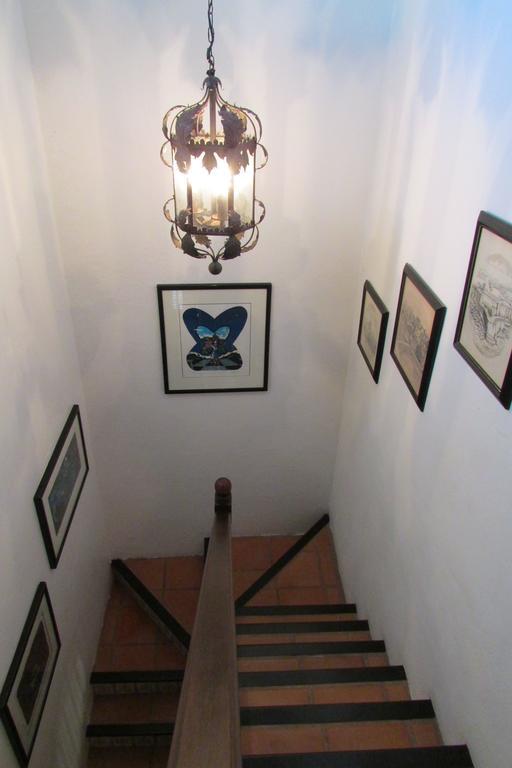 L'amore San Juan