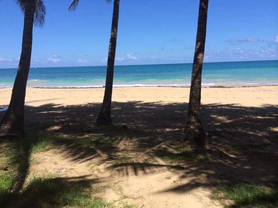 Ocean View 1 Bedroom In Condado! Apartment San Juan