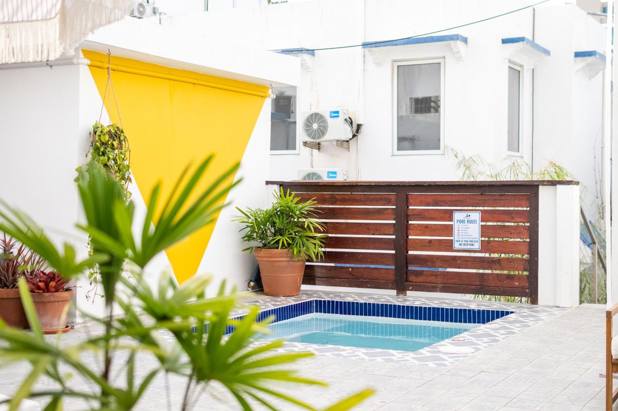La Mona Loiza Complex By With Bear