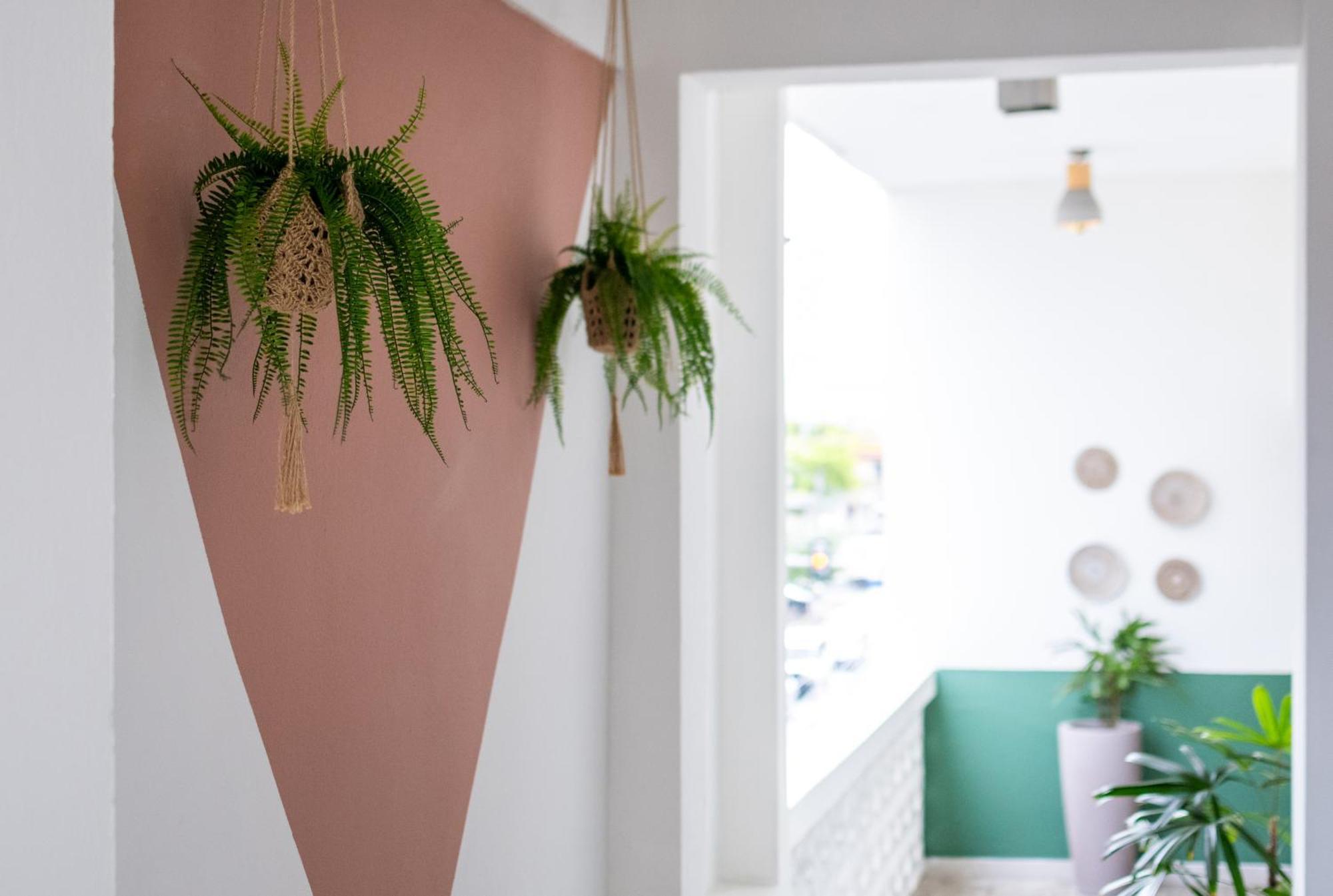 La Mona Loiza Complex By With Bear Hotel 3*