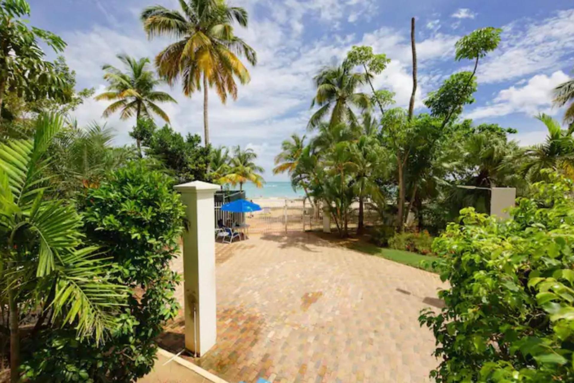 En Carolina Puerto Rico
