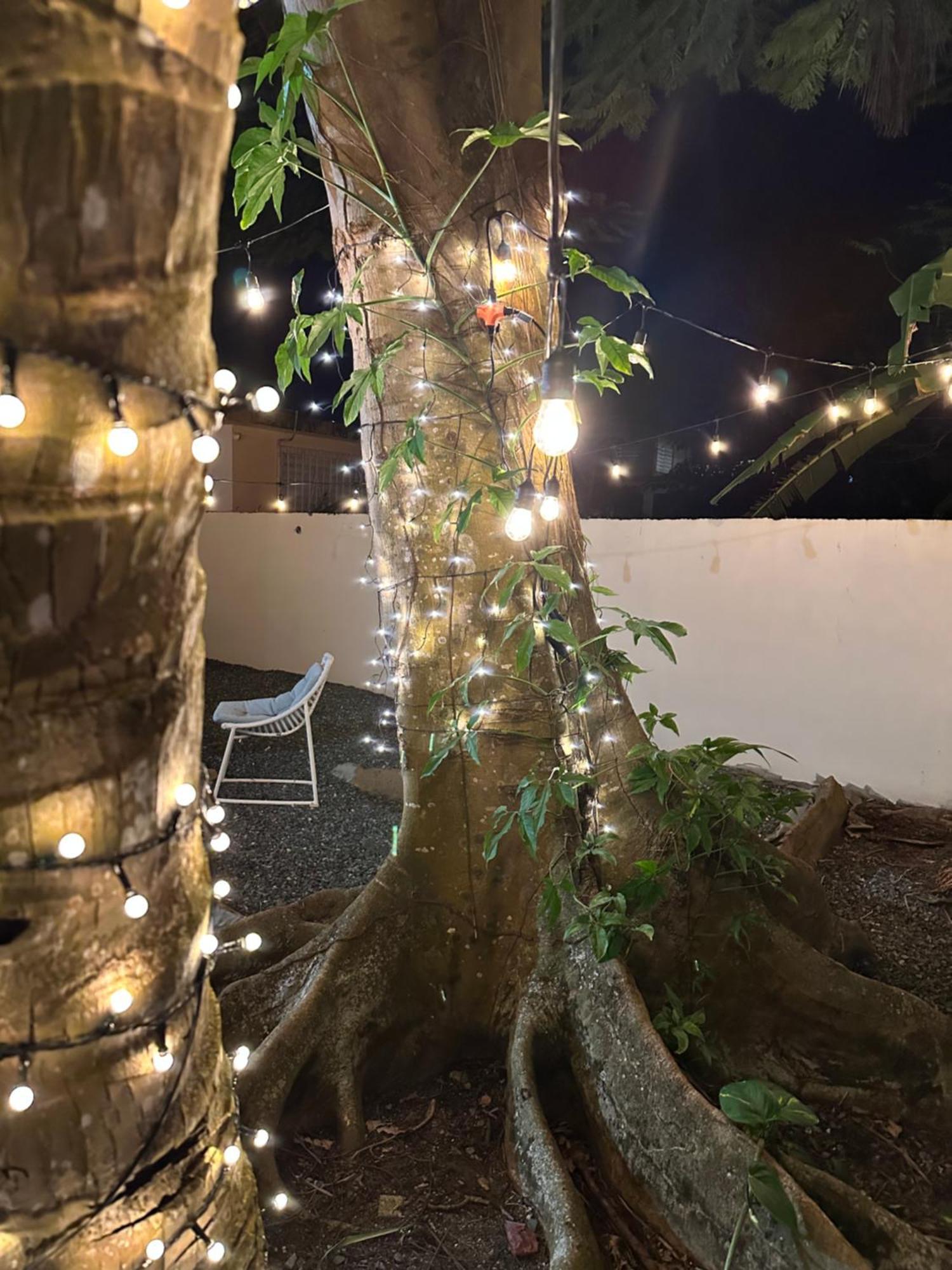 Bamboo San Juan