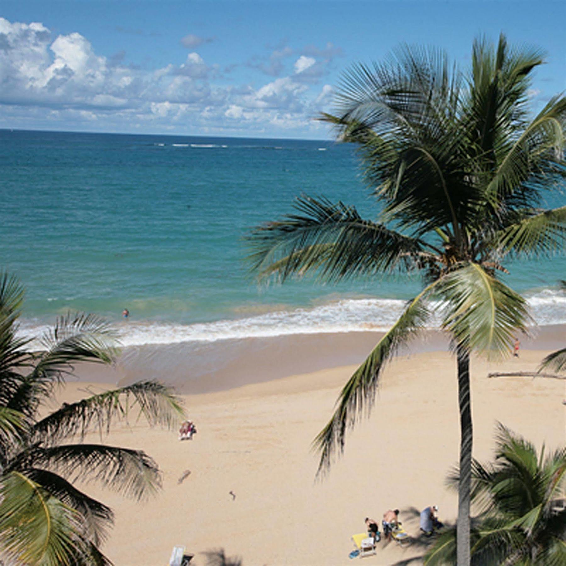 Hotel The Tryst Beachfront 3*