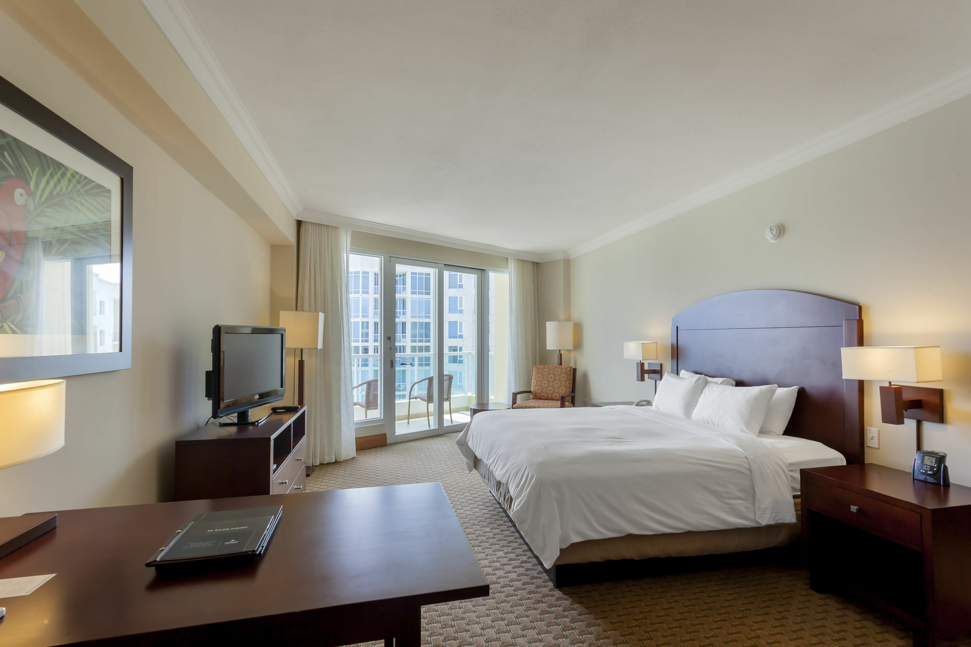 Resort Condado Lagoon At Caribe Hilton San Juan