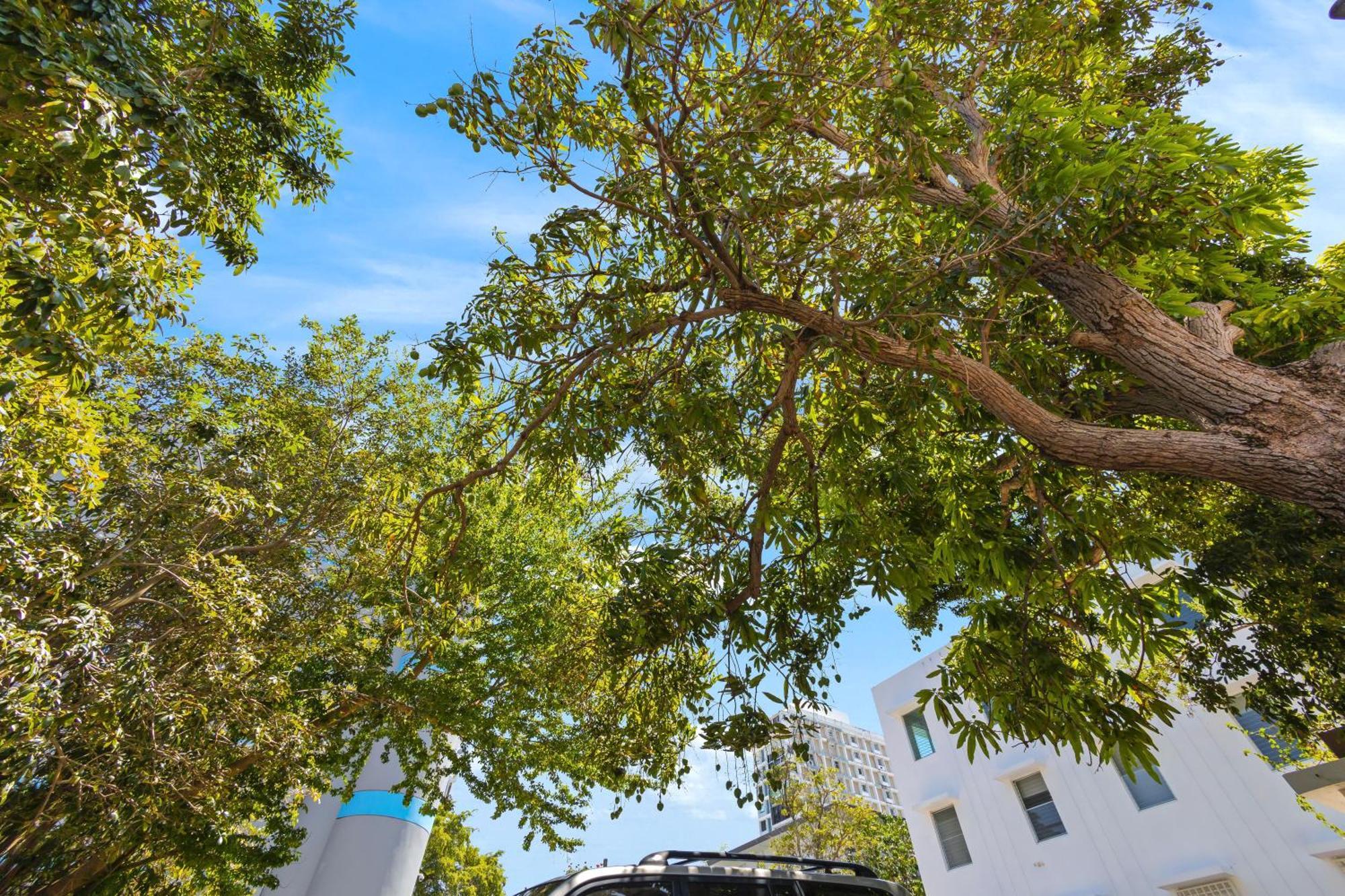 Hidden Gem In Miramar- Power Generator- Parking San Juan