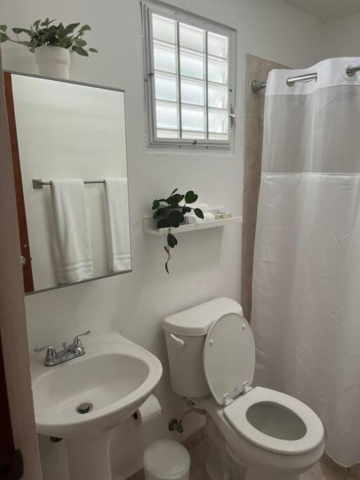 Sunny Breeze 2 Bed Airport And Beaches Are Close *