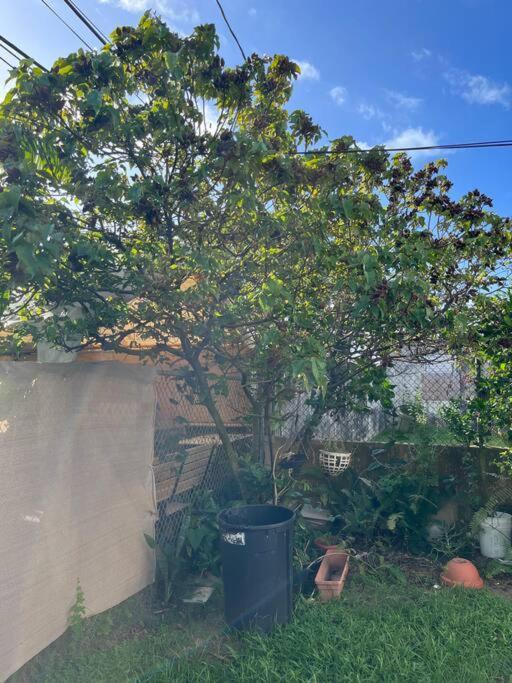 Sunny Breeze 2 Bed Airport And Beaches Are Close * San Juan