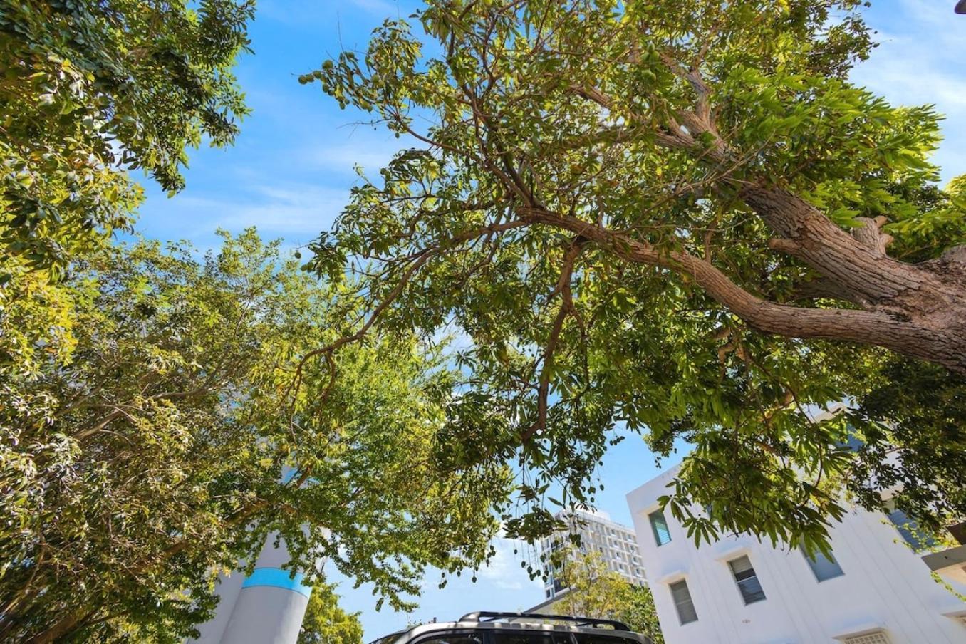 Hidden Gem In Miramar- Power Generator- Parking Apartment *