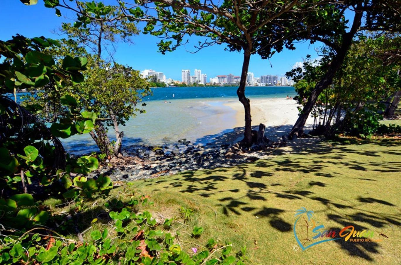 Apartment Hidden Gem In Miramar- Power Generator- Parking San Juan