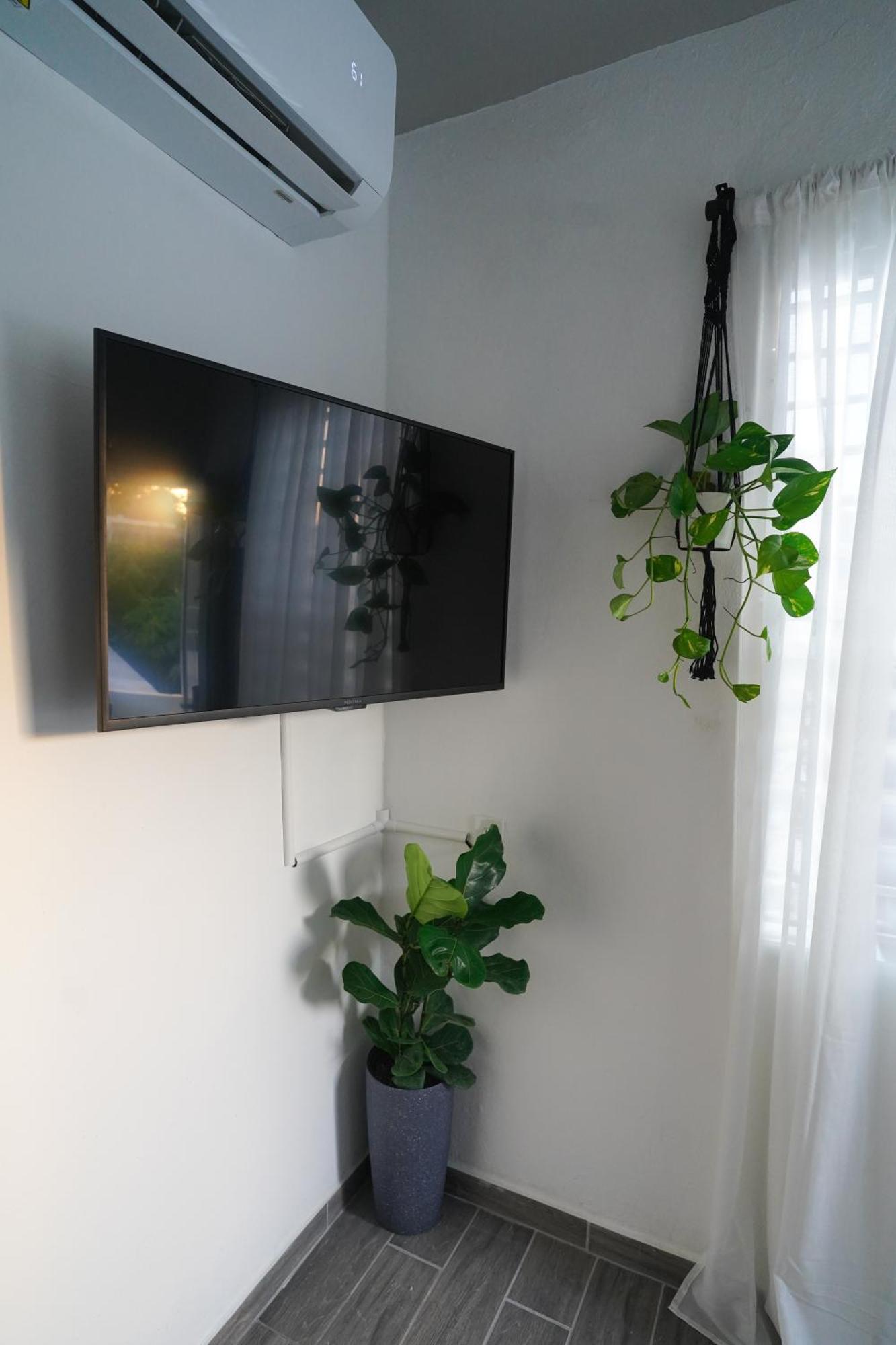 Apartment Palmeras 3 With Solar Panels
