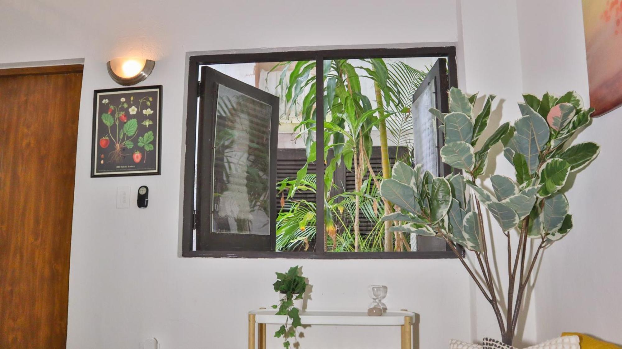 Apartment Old