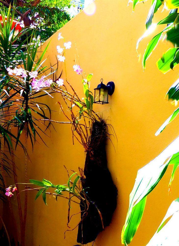 Canario Boutique